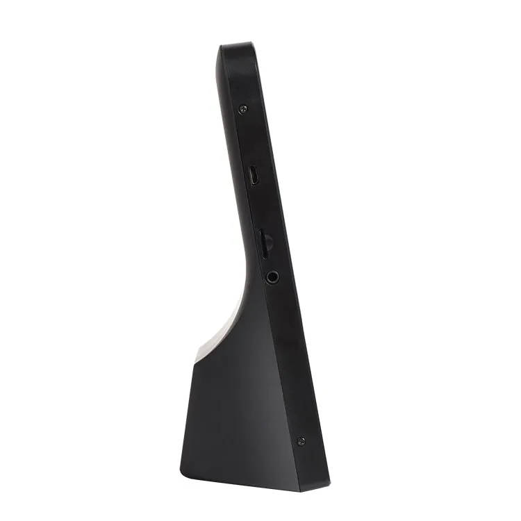 Portable Mini Sspeaker With FM Radio and Handsfree Speaker Tablet - ANKUX.COM