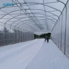 /product-detail/commercial-tropical-roof-vent-greenhouse-for-tomato-lettuce-pepper-60516994434.html