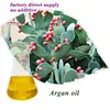 Many Country Import Argan Essential Oil for Beauty Personal Care