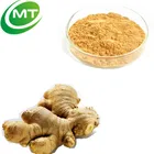 High quality ginger root extract/ginger root powder/ginger rhizome extract powder