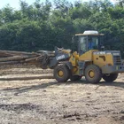 ZL15loader Yineng loader CE provided YN915 1 ton front wheel loader for sale adopt Xinchai engine