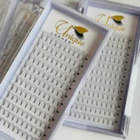Wholesale high quality unique lashes bulk 5d 0.07mm eyelash extension custom package
Wholesale high quality unique lashes bulk 5d 0.07mm eyelash extension custom package