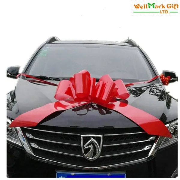 car bow.jpg