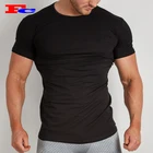 Wholesale Muscle Men Gym Wear Short Sleeve Scoop Hem Cotton Fitness T Shirt