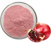 Top quality Freeze dried pomegranate juice powder