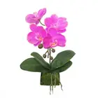 artificial flower phalaenopsis for home decorative with green leaves