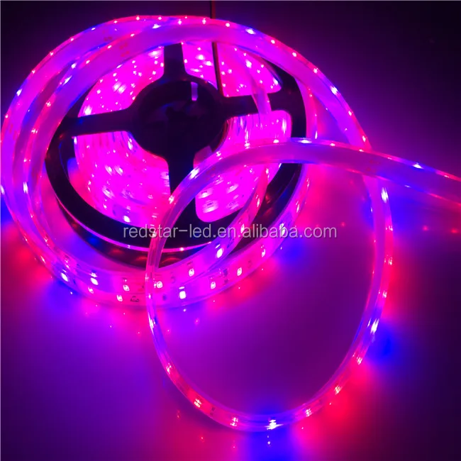 New Led Smart Zigbee Rgb Strip Light - ANKUX.COM