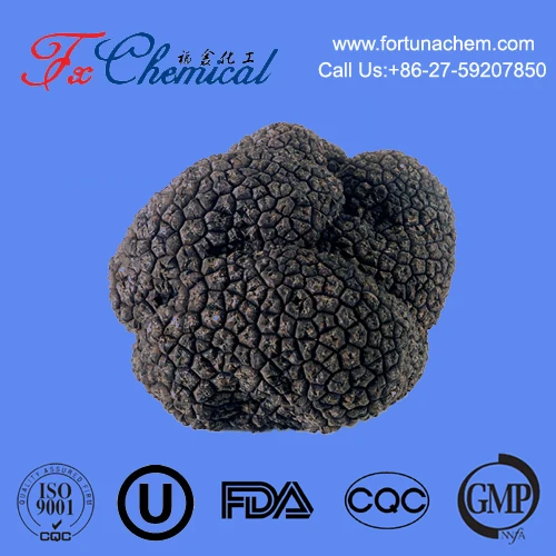 Hot selling fresh/ frozen/ dried black truffles of 2-3cm, 3~5cm, 5~8cm in diameter with good quality