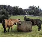High sale top quality slow feeder large round hay baler with net wrap