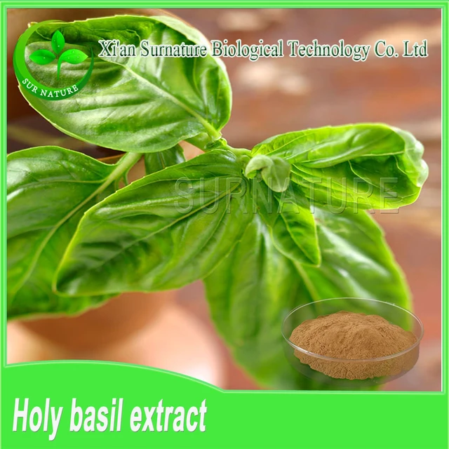 food grade pure holy basil extract/basil leaves p.e.