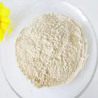 Improve Immunity Rice Protein Powder with High Quality Food Grade