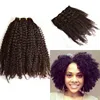 4b 4c Afro Kinky Mongolian Hair Tight Curly Clip in Human Hair Extensions for African American