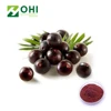 Natural Acai Berry Powder 5% Vitamin C Acai Berry Extract