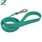 Blue Waterproof Personalised Rubber Grip Small 2 Handles Cute Clear Dog Leash and Collar