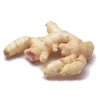 /product-detail/buy-bulk-1kg-fresh-ginger-60710099828.html