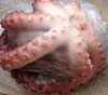 /product-detail/big-size-frozen-flower-cooked-octopus-60042294661.html