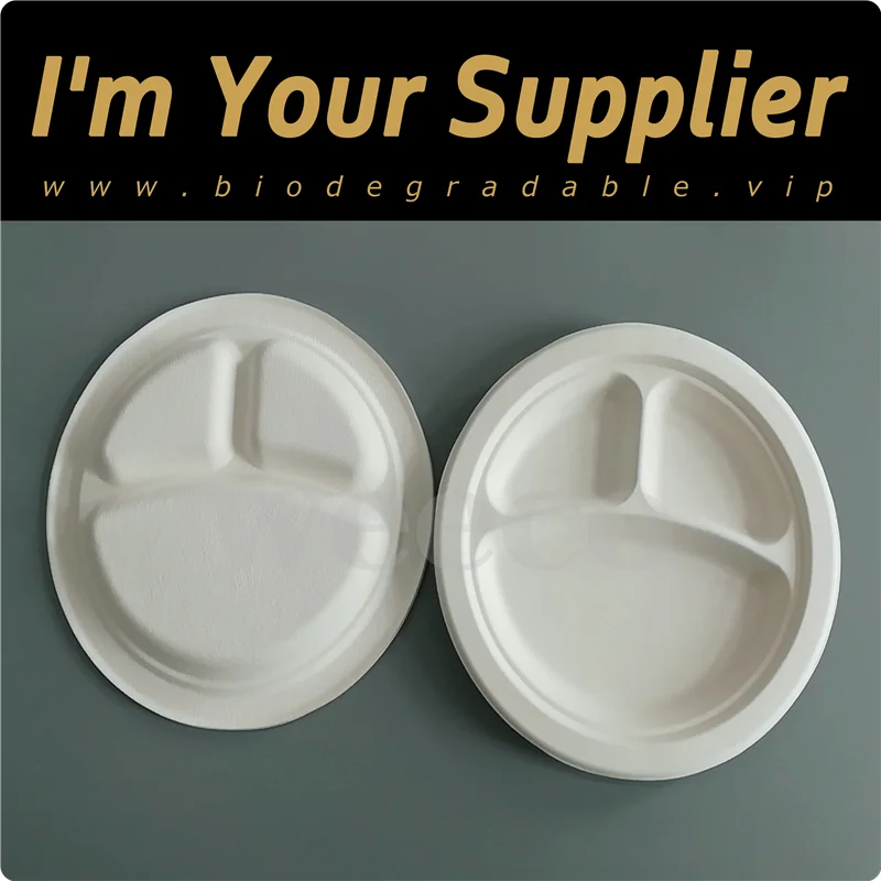 Biodegradable 3 compartment disposable take away bagasse pulp paper plate