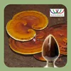 /product-detail/ganoderma-lucidum-karst-30-50-polysaccharides-mushroom-extract-extract-60563008470.html