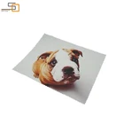 Cloth Glasses Microfiber Cute Glasses Cleaning Cloth