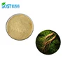 SOST Supply Best Selling Royal Korean Panax Ginseng Root Extract