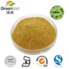 Lemon balm herbal extract with 10% flavonds and 1%~3% rosmarinic acid for oil and perfumes