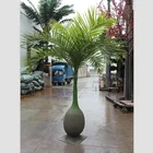 bottle shape tree decoration fake belly ball head coconut tree