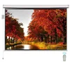 High quality 100" 16:9 motorized projection screen with remote