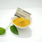 High Quality Halal Certificated Best Curry Powder Bulk Seasoning Powder Curry Flavor Powder Spice