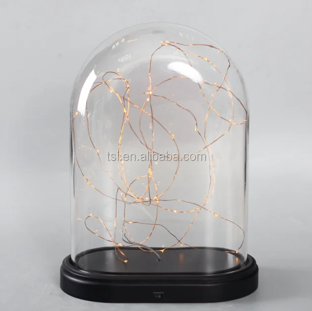 glass dome with metal base