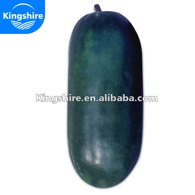dard green solid large size wax gourd seed