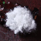Pet Recycled Fibre 7d X 64mm Hollow Recycled Staple Pet Fiber With Trade Assurance