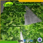 Leaf Vegetable Spinach Cutting Machine Frozen Spinach