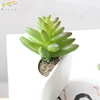 Plastic artificial succulent plant fridge magnets