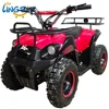 /product-detail/49cc-4-wheel-motorcycle-atv-for-children-use-a7-006--60867848053.html