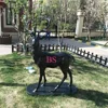 /product-detail/life-size-bronze-deer-outdoor-decoration-statue-sculpture-62205110510.html