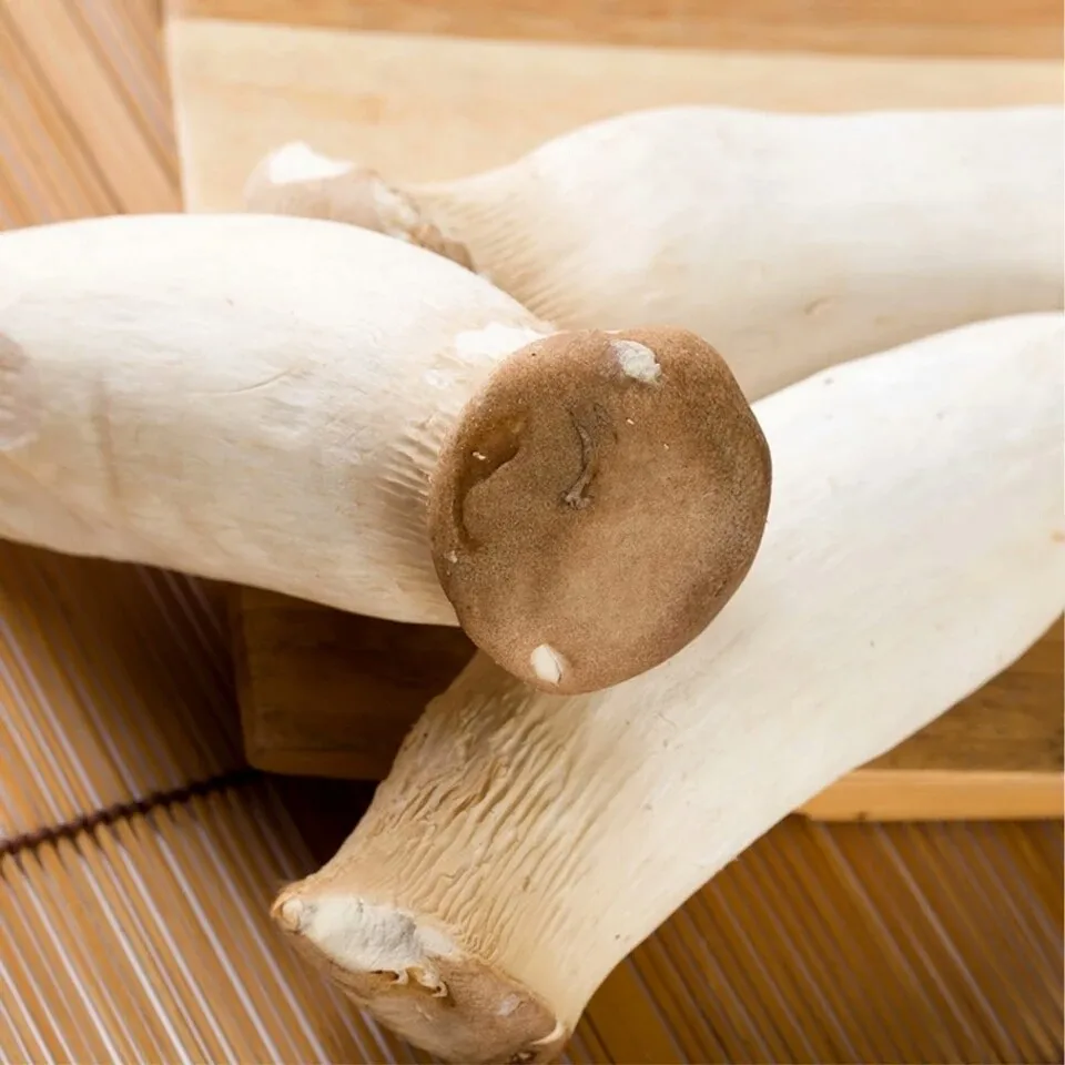 king oyster mushroom