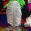 plume ostrich turquoise feather for sale cheap