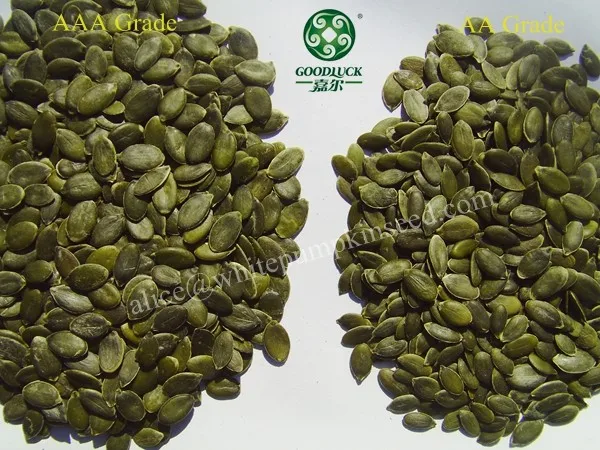 Grade AA & AAA GWS pumpkin seeds
