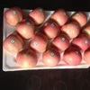 China Best Price Fresh Fruit Red Fuji Apple