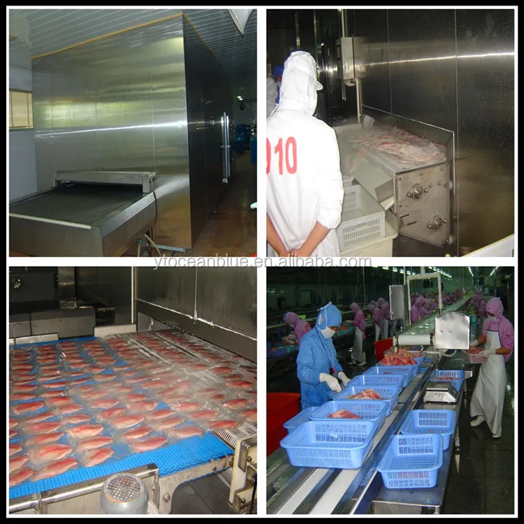 Blast Freezer, IQF, 380V, 2000kg - detail 40
