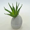 /product-detail/lovely-classic-artificial-plant-with-cement-eggs_hc-d60175-60589393435.html