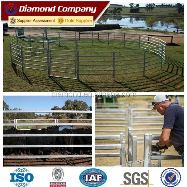 steel cattle panel