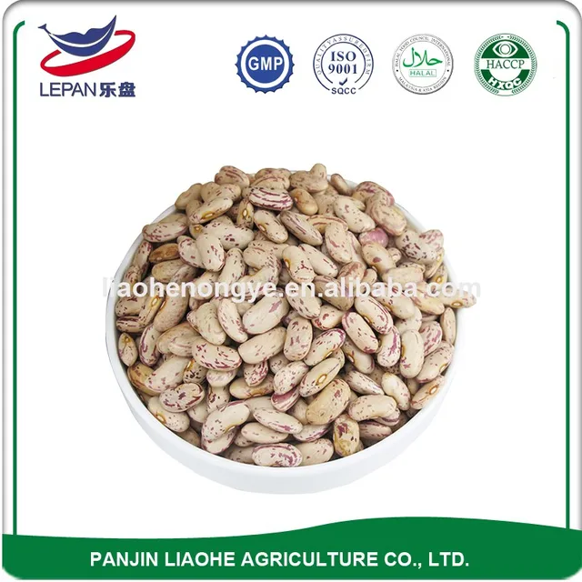 white haricot new crop best quality navy bean