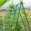 Sugrand Durable Greenhouse Plant Support Net For Melon And Cucumber