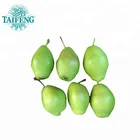 Fresh Super Ya Pear, Ya pear Chinese exporter