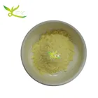 Pharmaceutical Grade Alpha Lipoic Acid Capsules Powder