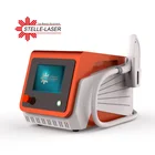 Portable Q Switch Nd Yag Laser tattoo removal laser machine, Mole Freckle Wrinkle Pigment Removal machine