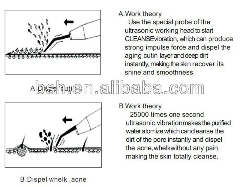 Wholesale Best Fortune Personal Care Beauty Equipment BF1203 Skin Scrubber