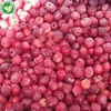 Wholesale IQF Frozen Fresh Sour Cherry Fruit
