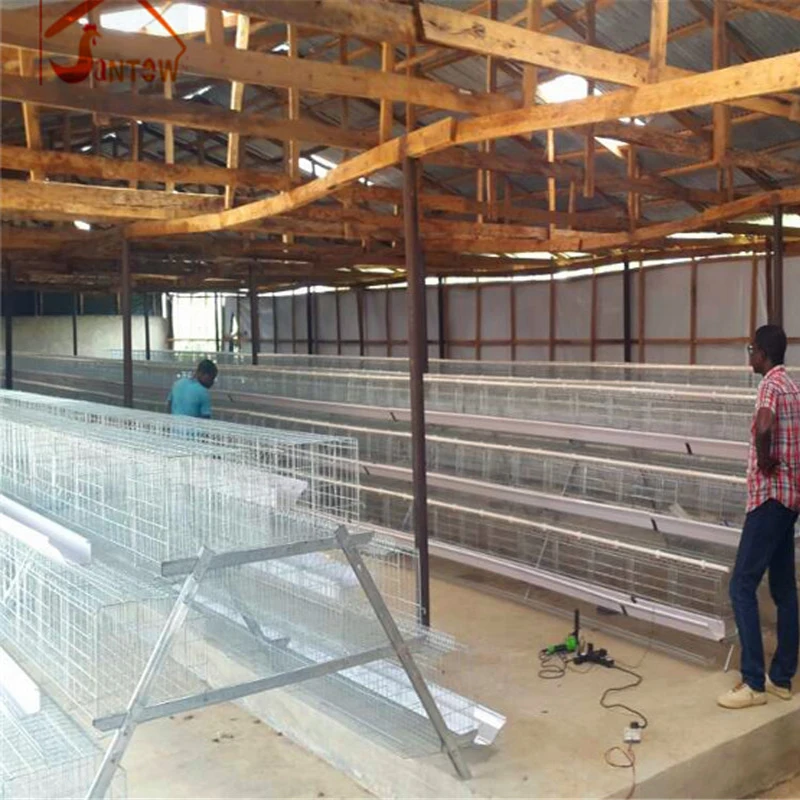 New products China manufacture 3 tier chicken cage for sale in Philippines